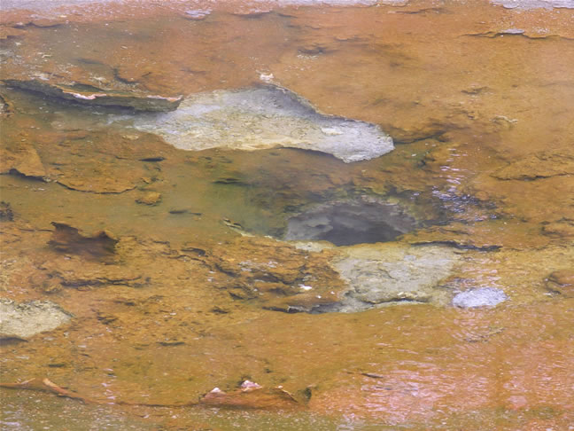 images/A-Geyser (3).jpg